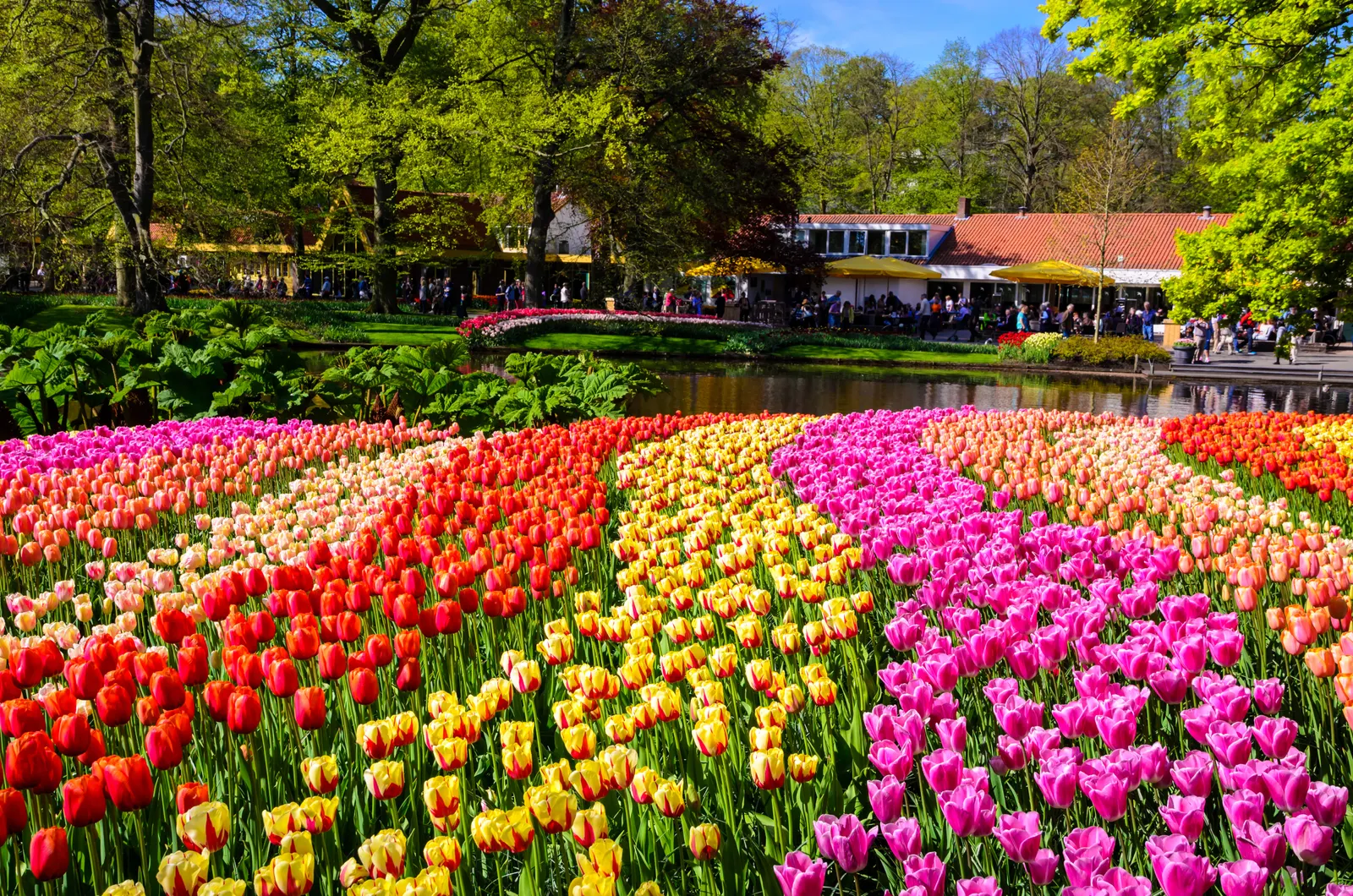 excursiones en ámsterdam