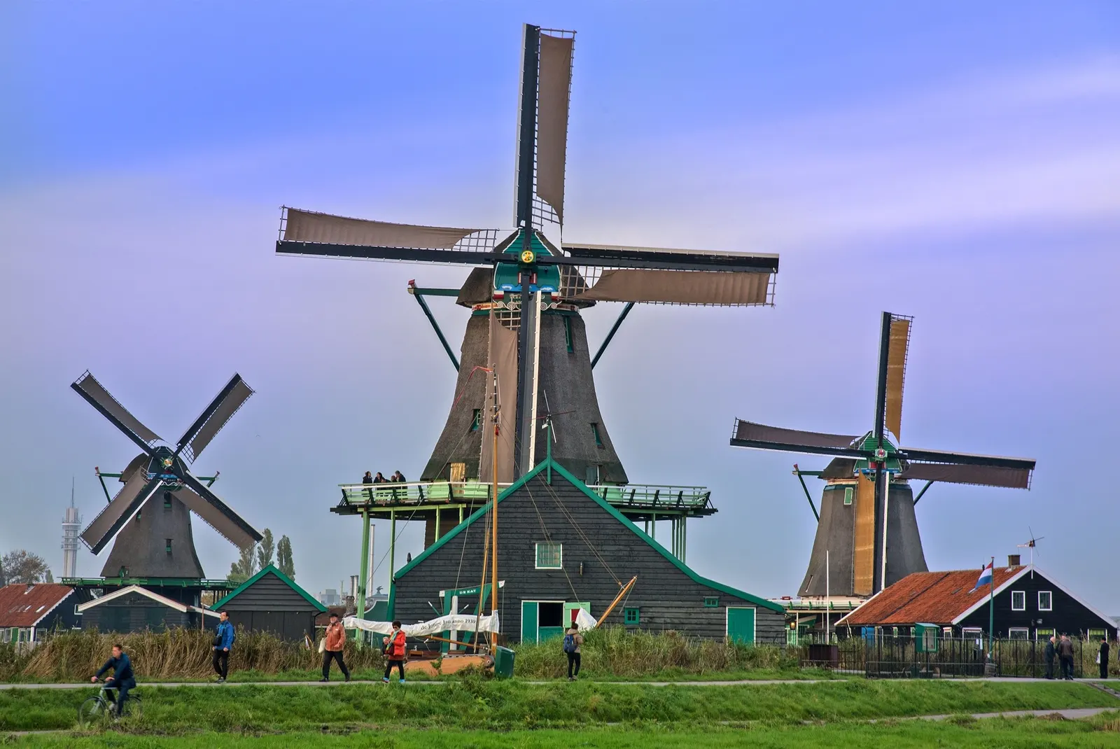 excursiones en ámsterdam