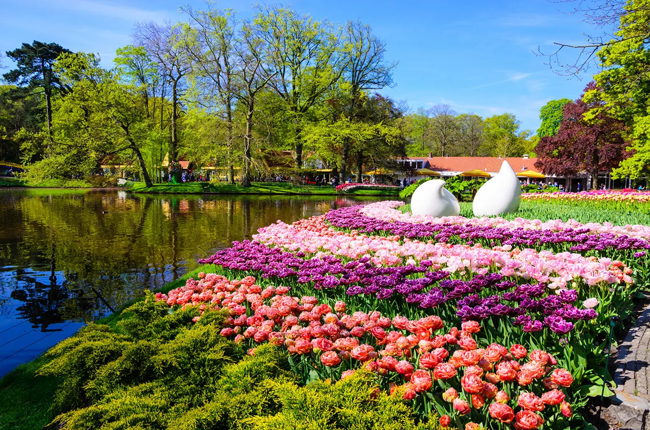 Colorido jardín de tulipanes en flor con un estanque en el Keukenhof, Holanda, en un día claro y soleado.