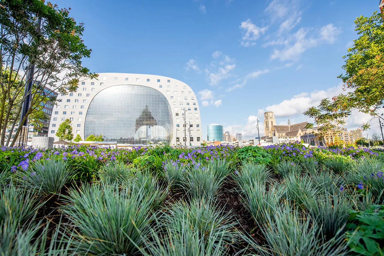 Imagen del Markthal en Rotterdam, destacando su estructura arquitectónica única con una fachada de vidrio curvo.