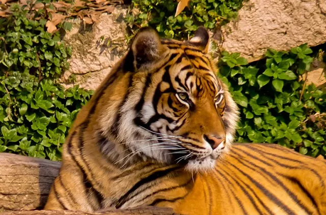 barcelona_zoo