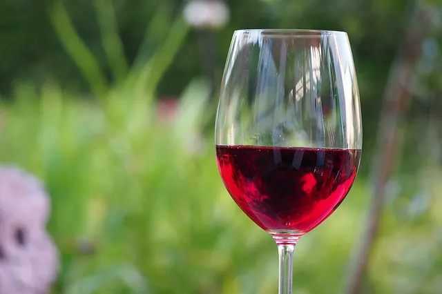 Copa de Vino tinto