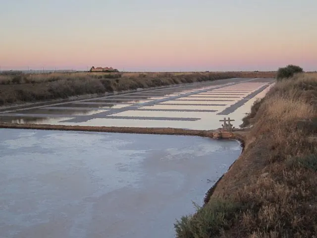 Salinas de Tavira