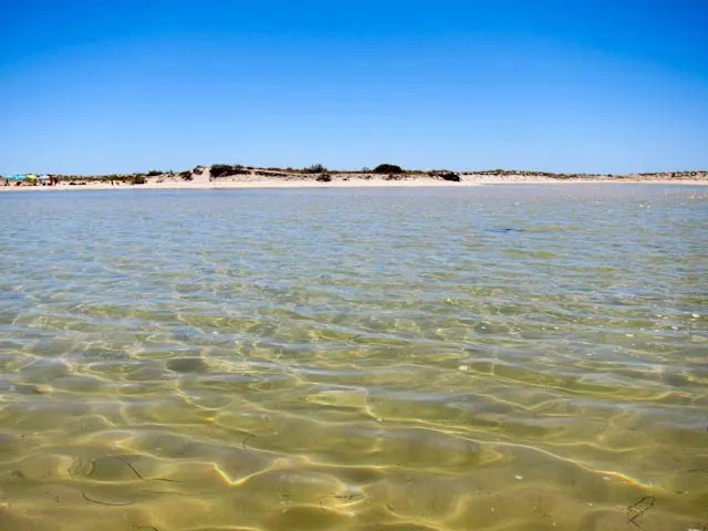 Ría Formosa 