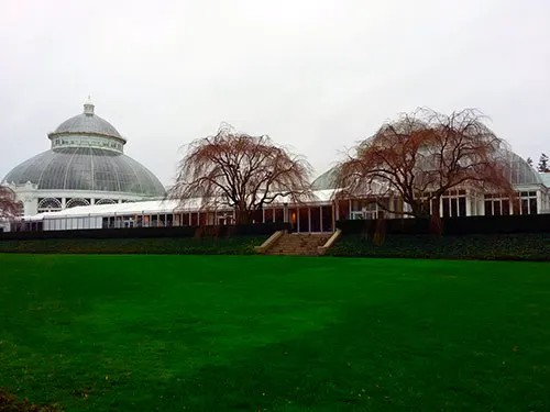 Invernadero del Jardín Botánico de Nueva York en el Bronx - Foto de Andrea Hoare Madrid - Newyorkando
