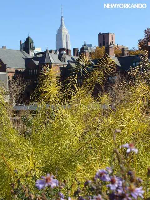 Vista-del-Empire-State-desde-High-Line-Park-en-Manhattan Nueva York