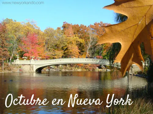 Qué hacer en octubre en Nueva York - foto de Andrea Hoare Madrid - Newyorkando