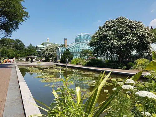 Invernadero del Jardín Botánico de Brooklyn - Foto de Andrea Hoare Madrid - Newyorkando