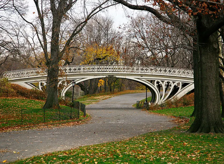 Foto del Gothic Bridge de Bryan Schorn / CC BY-SA (https://creativecommons.org/licenses/by-sa/3.0) vía Wikimedia, disponible en https://commons.wikimedia.org/wiki/File:Gothic_Bridge_of_Central_Park_December_2010.jpg