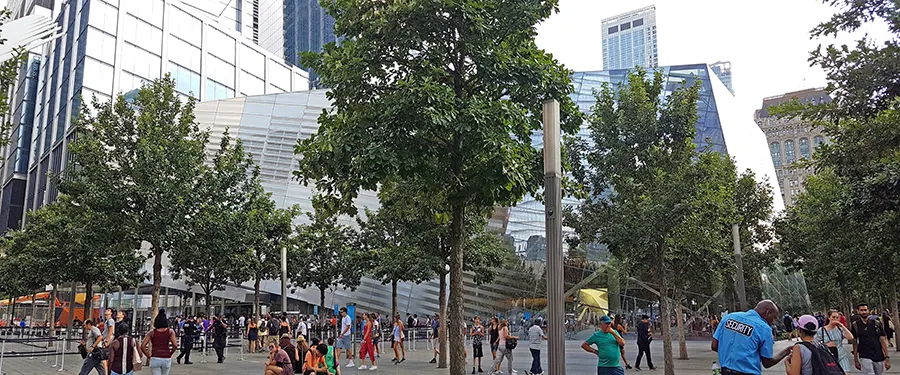 Panorámica de los árboles del Memorial del 9/11, retoños de los árboles que estuvieron antes de la Tragedia de las Torres Gemelas - Foto de Andrea Hoare Madrid