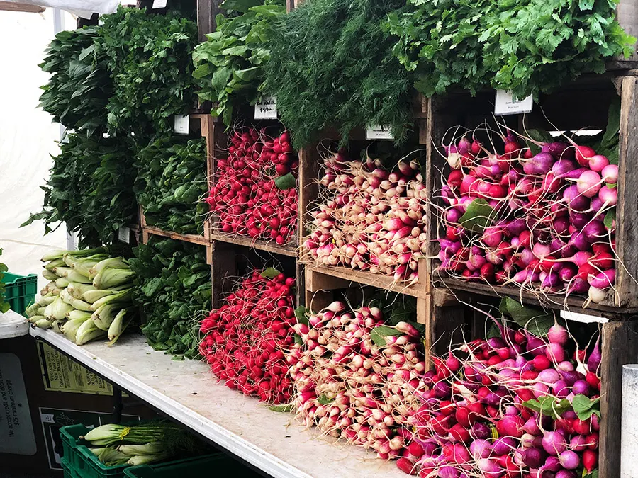 Puesto de rabanos en el Farmers Market Smorgasburg en Prospect Park, Brooklyn. Foto de Lance Grandahl en Unsplash disponible en https://unsplash.com/photos/s9gqa7uTzcI