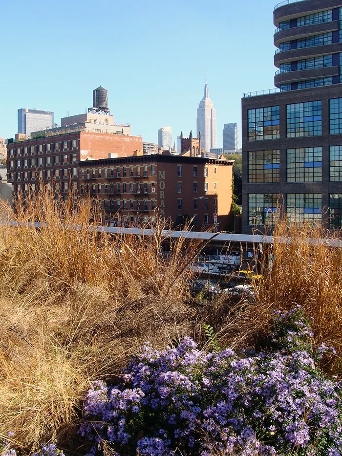 Empire State visto desde el High Line Park - Foto de Andrea Hoare Madrid