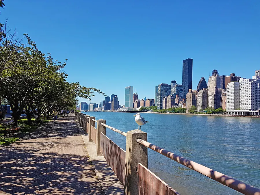 Paseo peatonal junto al East River en Roosevelt Island. Hacia el sur se distingue el edificio de la se de la Organización de las Naciones Unidas - Foto de Andrea Hoare Madrid