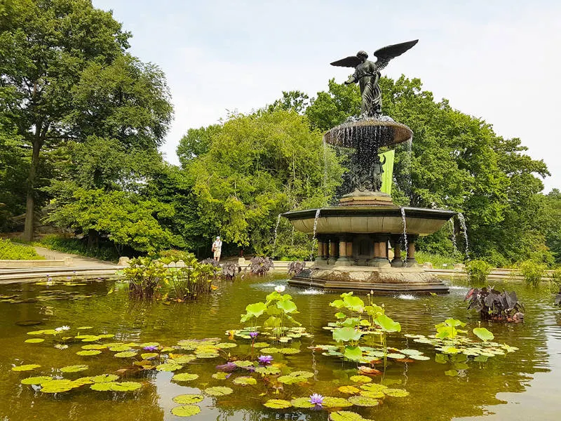 CENTRAL-PARK-Fuente-de-Bethesda-lirios-AHM