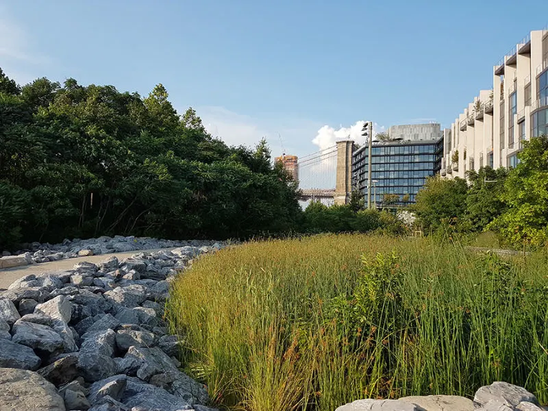 Caminos con vegetación y junto a modernos edificios en el Brooklyn Bridge Park - Foto de Andrea Hoare Madrid