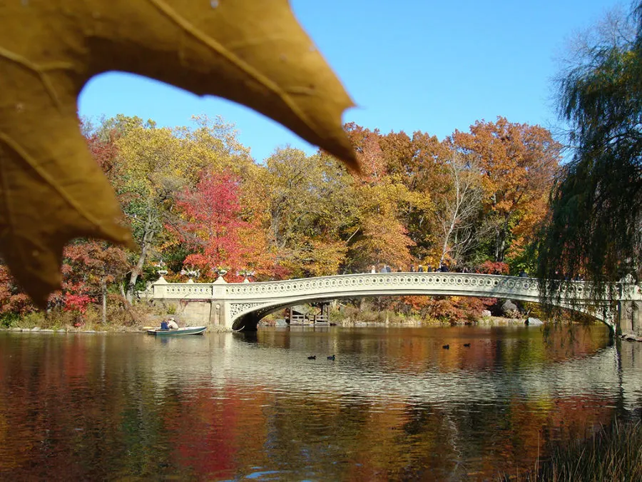 The Pond and Bow Bridge in Central Park in fall - Photo by Andrea Hoare Madrid