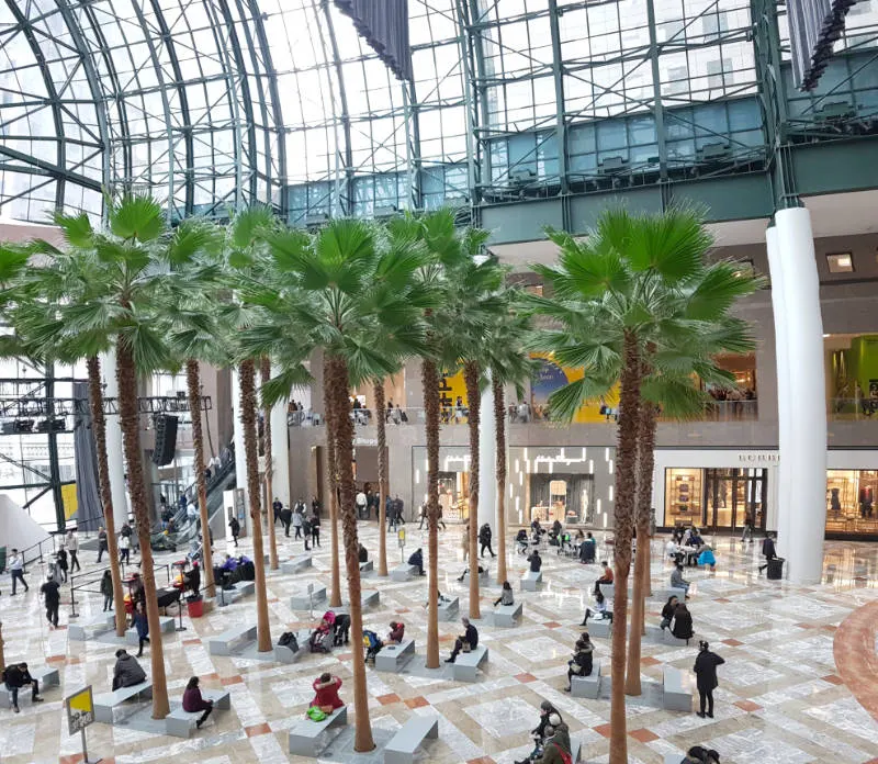 The Winter Garden inside the Brookfield Place mall at the World Trade Center - Photo by Andrea Hoare Madrid