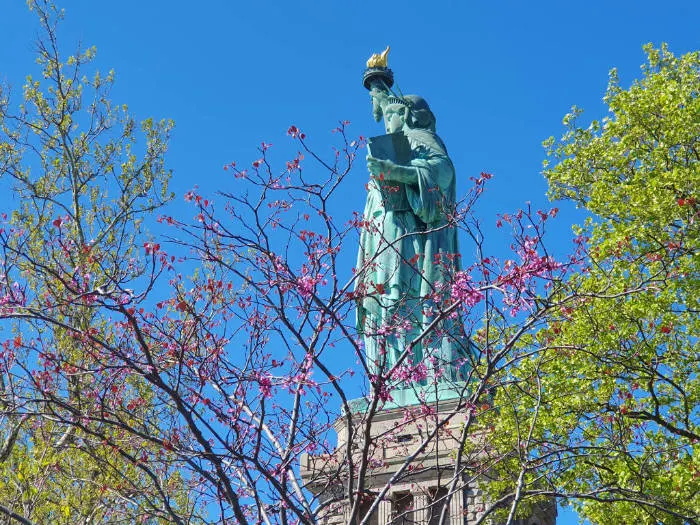 Nueva York en abril: es primavera en New York. En la foto se ve la parte trasera de la Estatua de la Libertad a través de un Cerezo en Flor florecido - Foto de Andrea Hoare Madrid