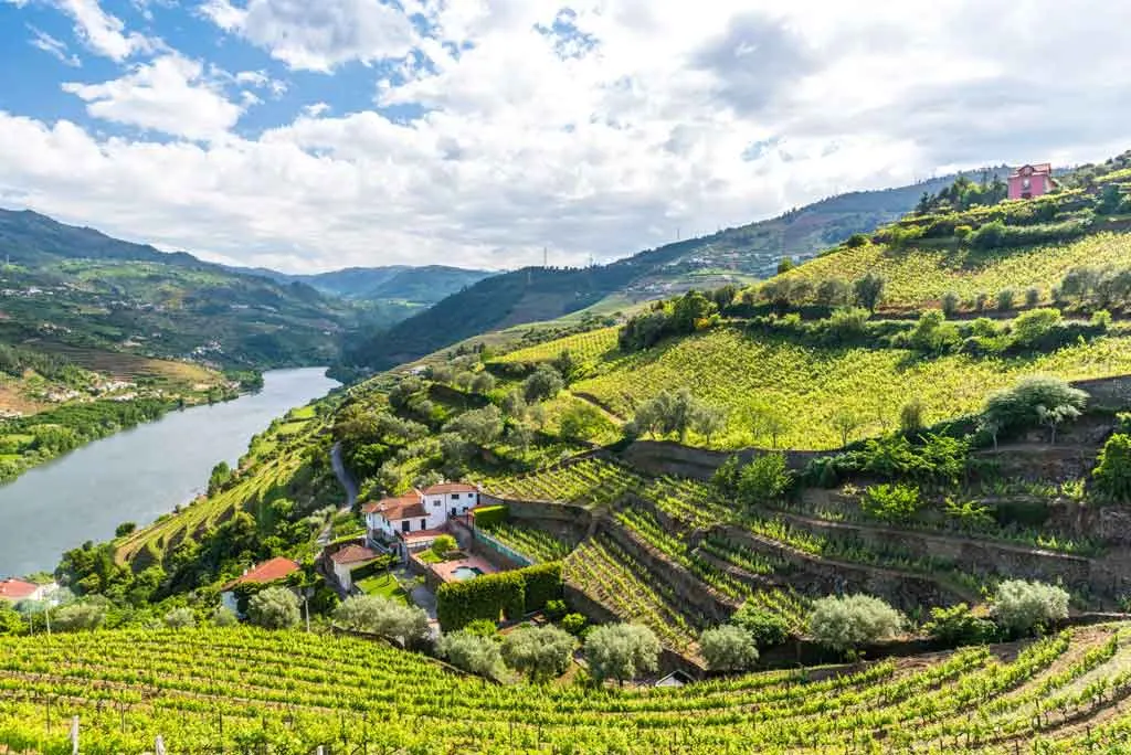 Das Douro-Tal