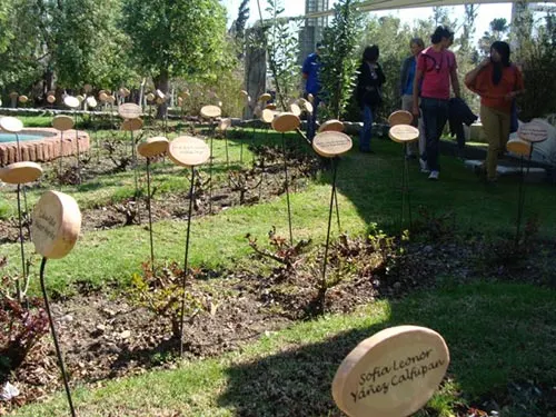 Jardín de rosas de Villa Grimaldi, Peñalolén. Foto de AHM - Santiagoando