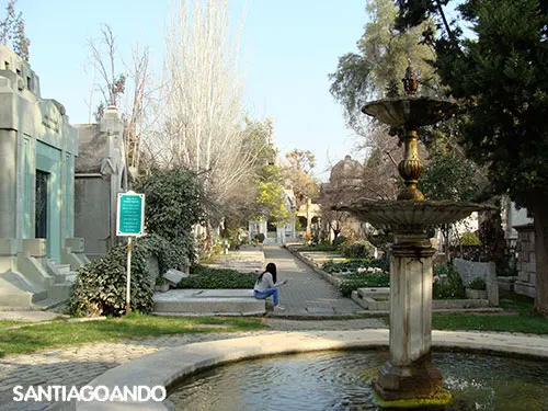 Foto de una avenida principal del Cementerio General de Santiago de Andrea Hoare Madrid julio 2014