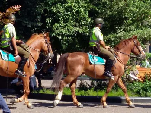 Carabineros montados en la Plaza de Armas. Seguridad en Santiago. Guía Santiagoando