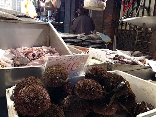 Pescaderías del Mercado Central de Santiago - Erizos a la venta en primer plano - Foto de Andrea Hoare Madrid
