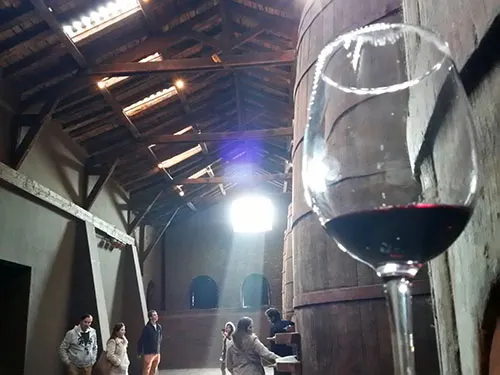 Cata de vinos Santa Carolina - Foto de AHM