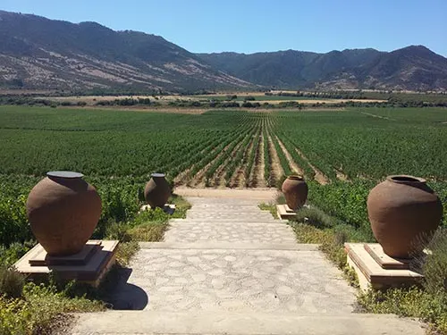 Vista del Valle de Viña Santa Cruz en el valle de Colchagua. Foto de AHM Santiagoando