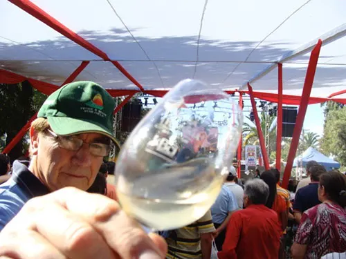 Fiestas de la vendimia cerca de Santiago - Foto de AHM
