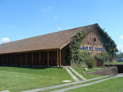 Viña Miguel Torres en el Valle de Curicó - Foto de AHM