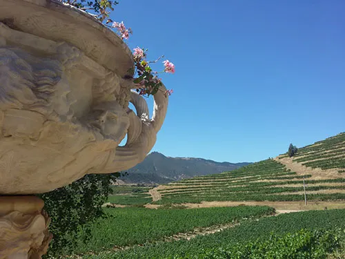 Viña Santa Cruz en el Valle de Colchagua - Foto de Andrea Hoare Madrid