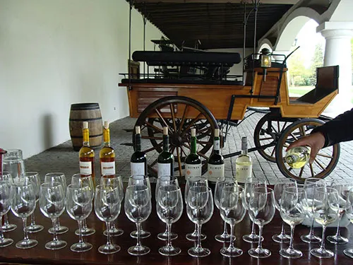 Degustación de vinos en la Viña Undurraga del Valle del Maipo - Buin - Foto de AHM