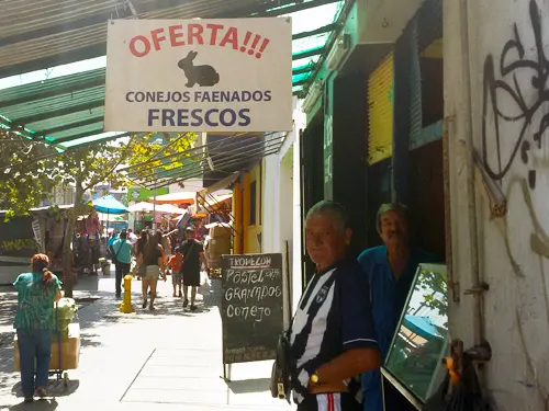 Venta de conejos faenados frescos en el Mercado Estación Central de Santiago. Foto de AHM