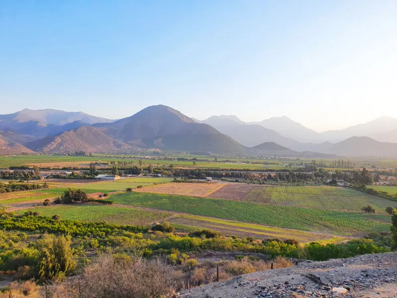 Paisaje de cultivos y de la Cordillera de la Costa durante el recorrido del tren turístico a Limache (Vistas del Valle del Aconcagua) - Foto de Andrea Hoare Madrid