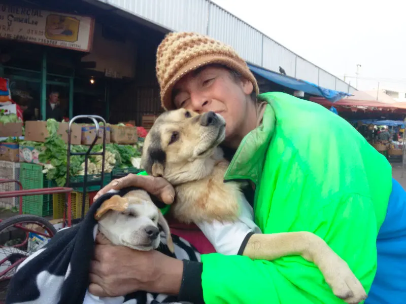 Señora de los perritos en el Mercado de la Vega Central Santiago - Foto de Andrea Hoare Madrid