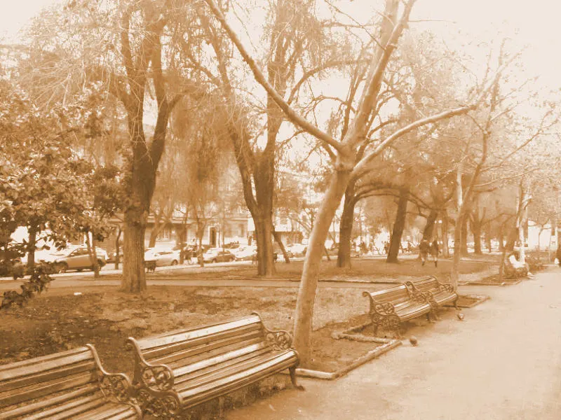 Bancas y árboles del Parque Bustamante en invierno - Foto de Andrea Hoare Madrid
