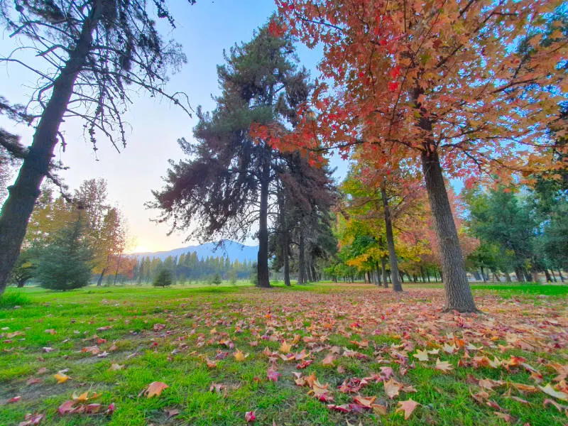 Árboles cambiando de color y hojas durante el otoño en el Padre Hurtado de La Reina Santiago - Foto de Andrea Hoare Madrid