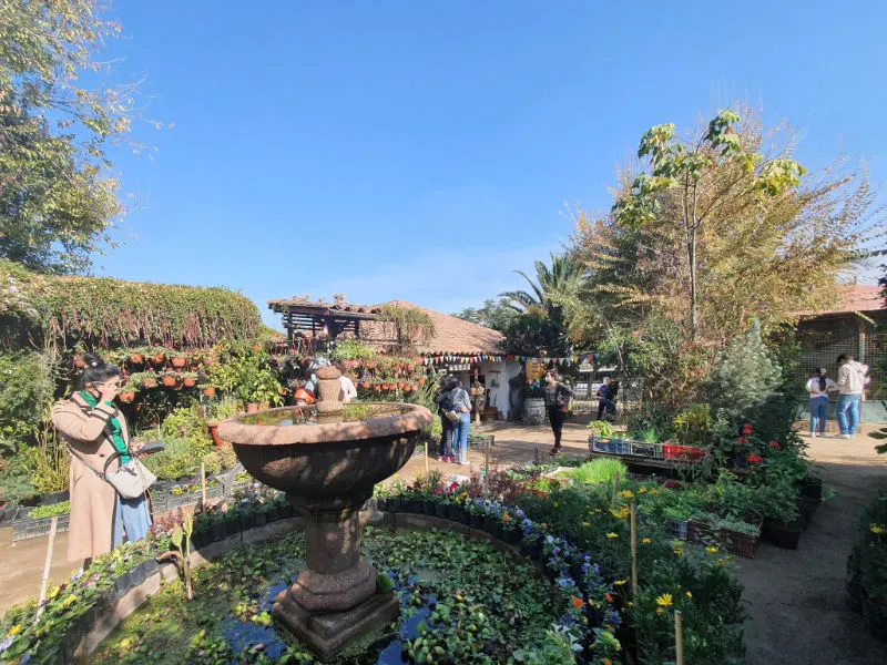 Pileta y plantas acuáticas en el Centro Artesanal Pueblito Los Dominicos - Foto de Andrea Hoare Madrid