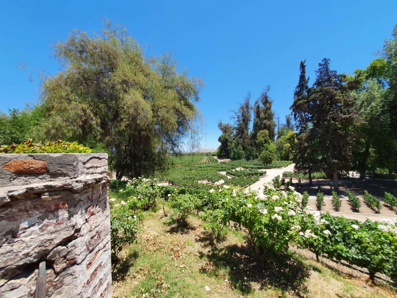 Jardines y Viñedos Pirque Viejo en el Valle del Maipo - Foto de Andrea Hoare Madrid