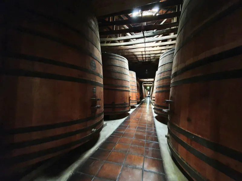 Toneles antiguos en las bodegas de la Viña Cousiño Macul - Foto de Andrea Hoare Madrid