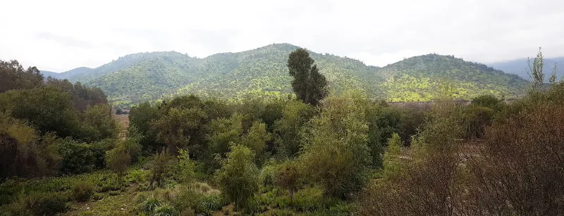 Paisaje precordillerano del Valle del Maipo dentro de la Viña Pérez Cruz - Foto de Andrea Hoare Madrid