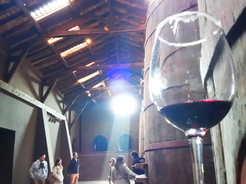 Cata de vinos Santa Carolina - Foto de Andrea Hoare Madrid
