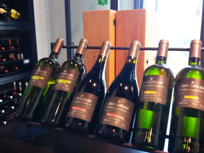 Tienda de Vinos Santa Carolina - Foto de Andrea Hoare Madrid