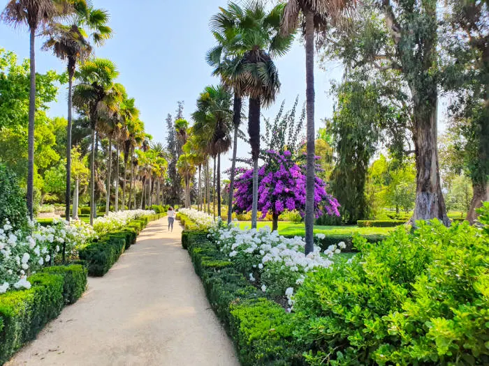 Jardines de la Viña Undurraga en verano - Foto de Andrea Hoare Madrid