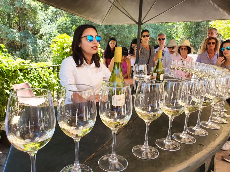 Guía comenzando la cata de vinos durante el recorrido por la Viña Concha y Toro - Foto de Andrea Hoare Madrid