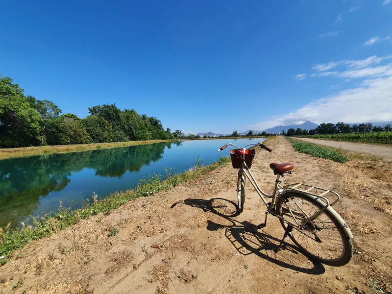 Bicicleta frente al tranque de la Viña Cousiño Macul durante un tour por los viñedos - Foto de Andrea Hoare Madrid