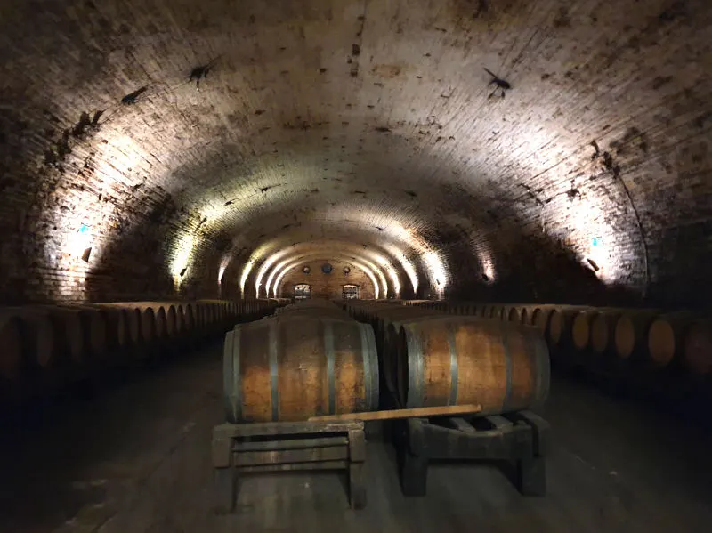 Bodega subterránea de cal y canto en la Viña Cousiño Macul - Foto de Andrea Hoare Madrid