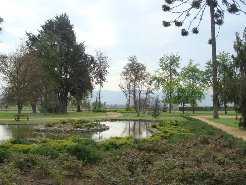 Jardines de la Viña Undurraga en invierno - Foto de Andrea Hoare Madrid