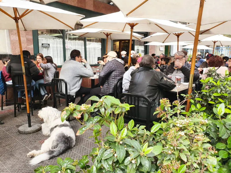 Terraza al aire libre de la Fuente Alemana de la Avenida Pedro de Valdivia en Providencia . Foto de Andrea Hoare Madrid